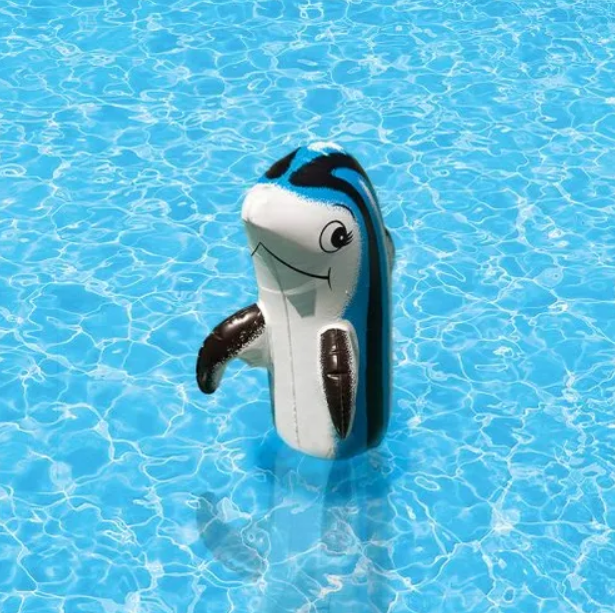 Wholesale Pool Supplies & Distributor Pool & Electrical Products